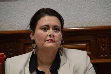 Pleno ordinario de febrero de 2020 (Foto TA)